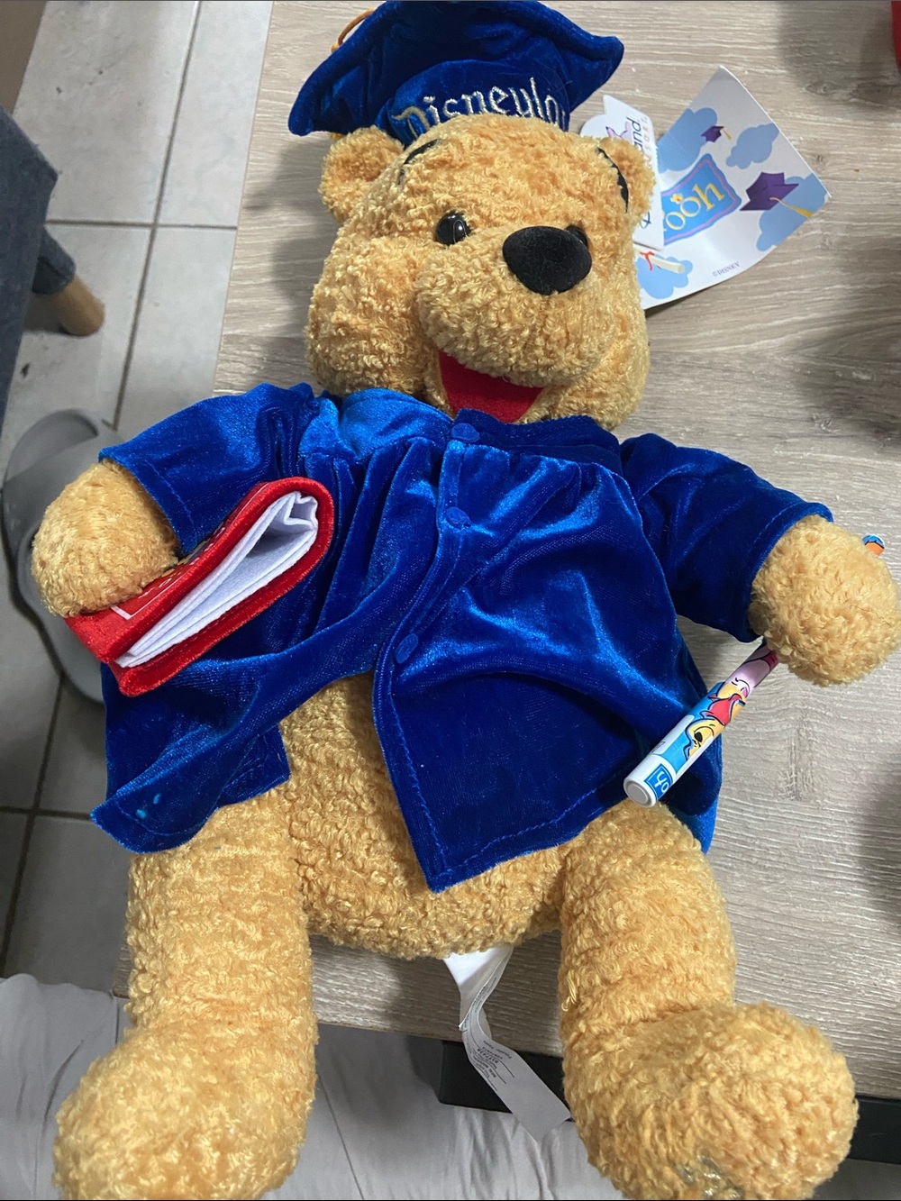 Vintage Disney Winnie the Pooh Graduation Plush Bear Doll 8" Disneyland 2001 NEW